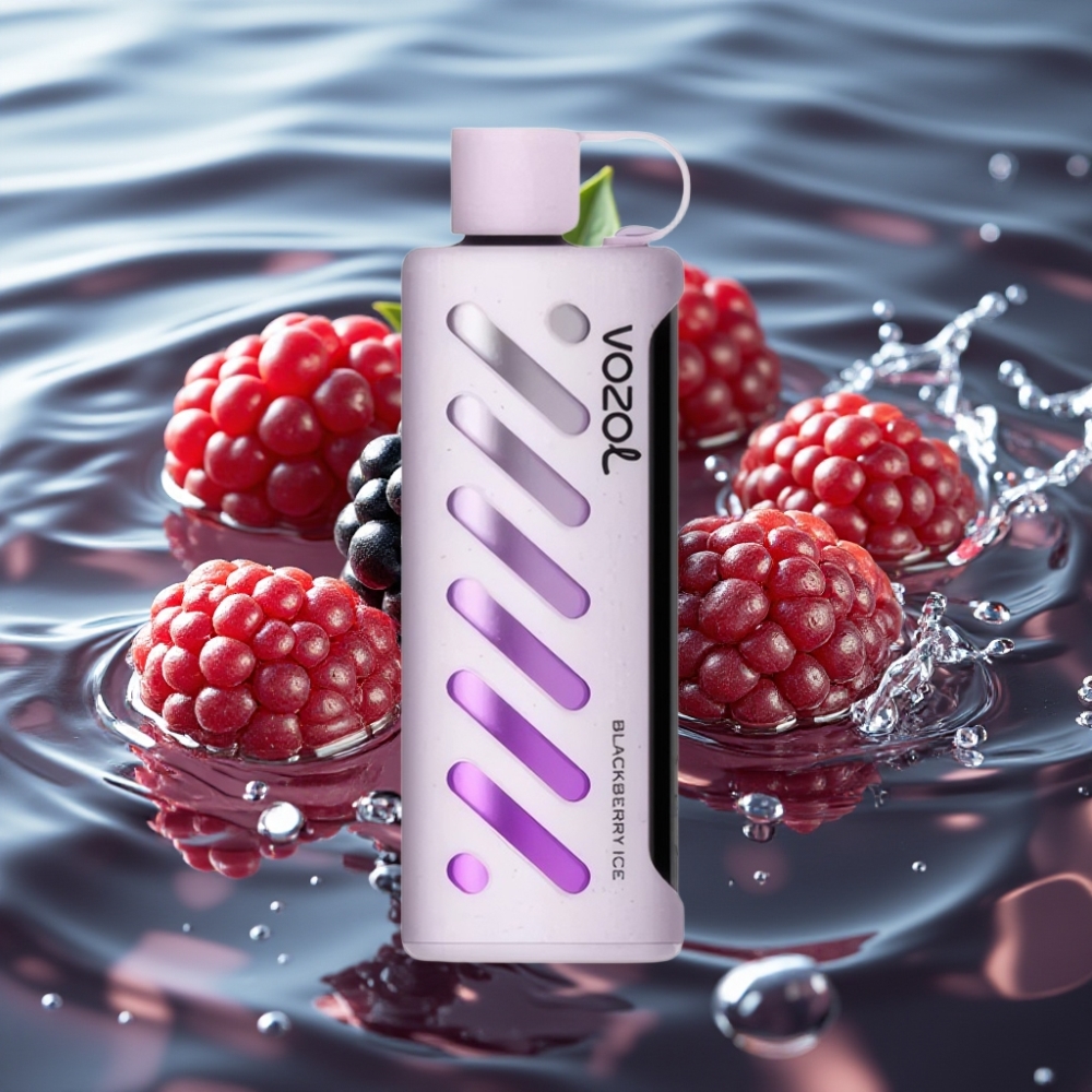 VOZOL Gear Shisha 25000 Puffs | 30 Flavors | Dual Mesh Dual Modes Blackberry Ice