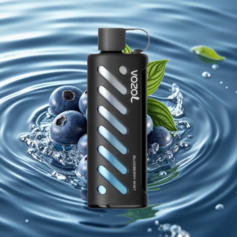 VOZOL Gear Shisha 25000 Puffs with 30 Flavors & S.i.L.C Tech Blueberry Mint