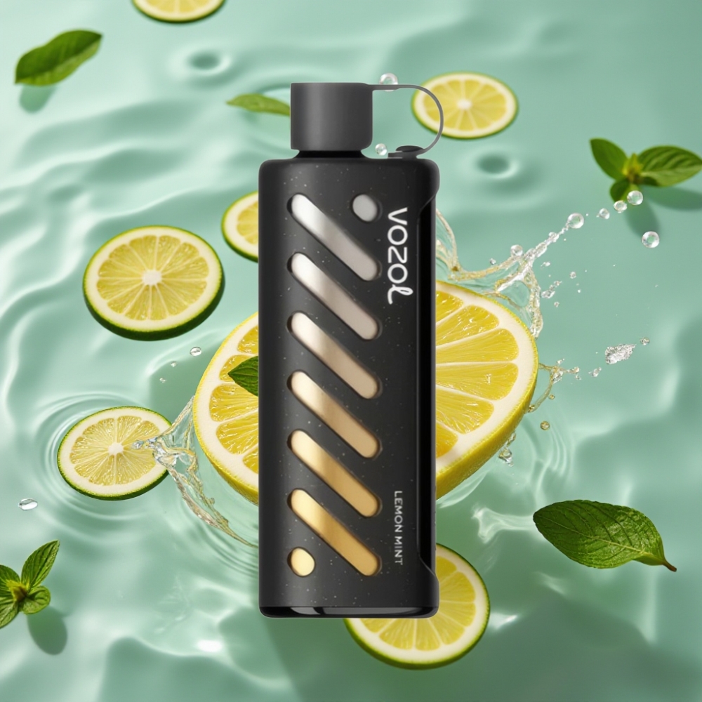 VOZOL Gear Shisha 30 Delicious Flavors 25000 Puffs