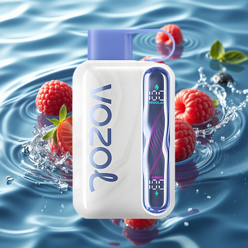 VOZOL STAR 40000 | 1000mAh Battery | Type-C Charging Blue Razz Ice