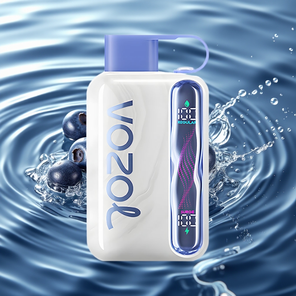 VOZOL STAR 40000 | 1000mAh Battery | Type-C Charging Blueberry Ice