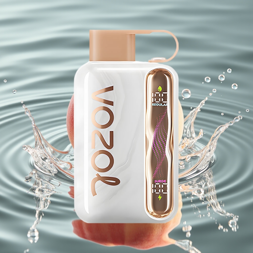 VOZOL STAR 40000 1000mAh Type-C Disposable Vape