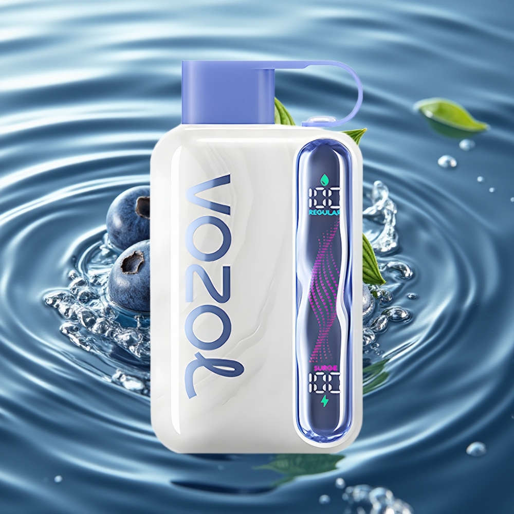 VOZOL STAR 40000 | 1000mAh | Type-C Disposable Vape