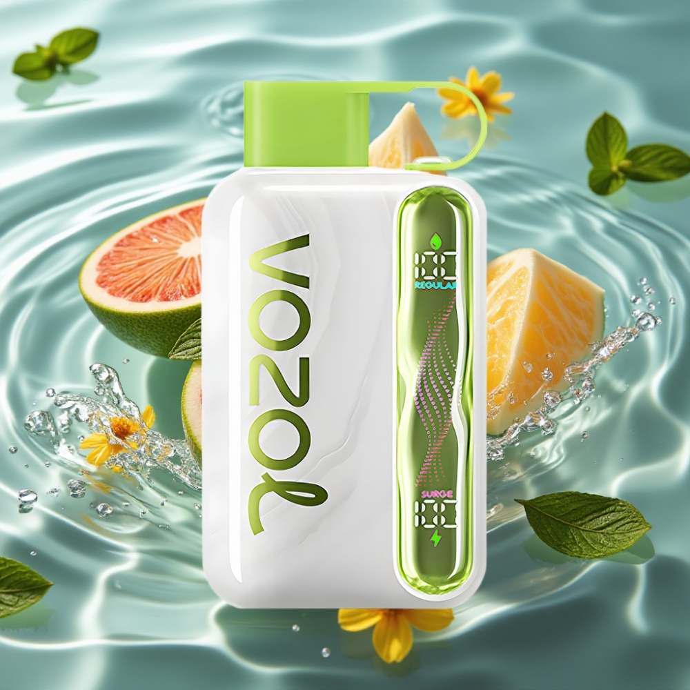 VOZOL STAR 40000 Disposable Vape with 1000mAh Battery & Type-C Charging Cool Mint