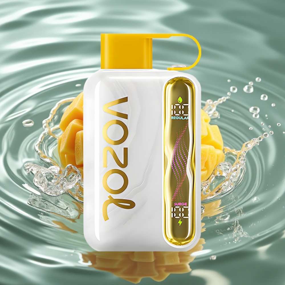 VOZOL STAR 40000 Disposable Vape with 1000mAh Battery & Type-C Charging Mango Ice