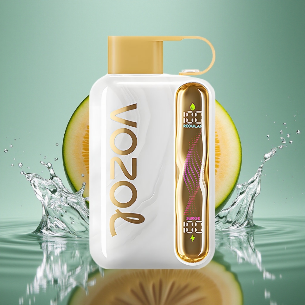 VOZOL STAR 40000 Disposable Vape with 1000mAh Battery & Type-C Charging Melon Ice