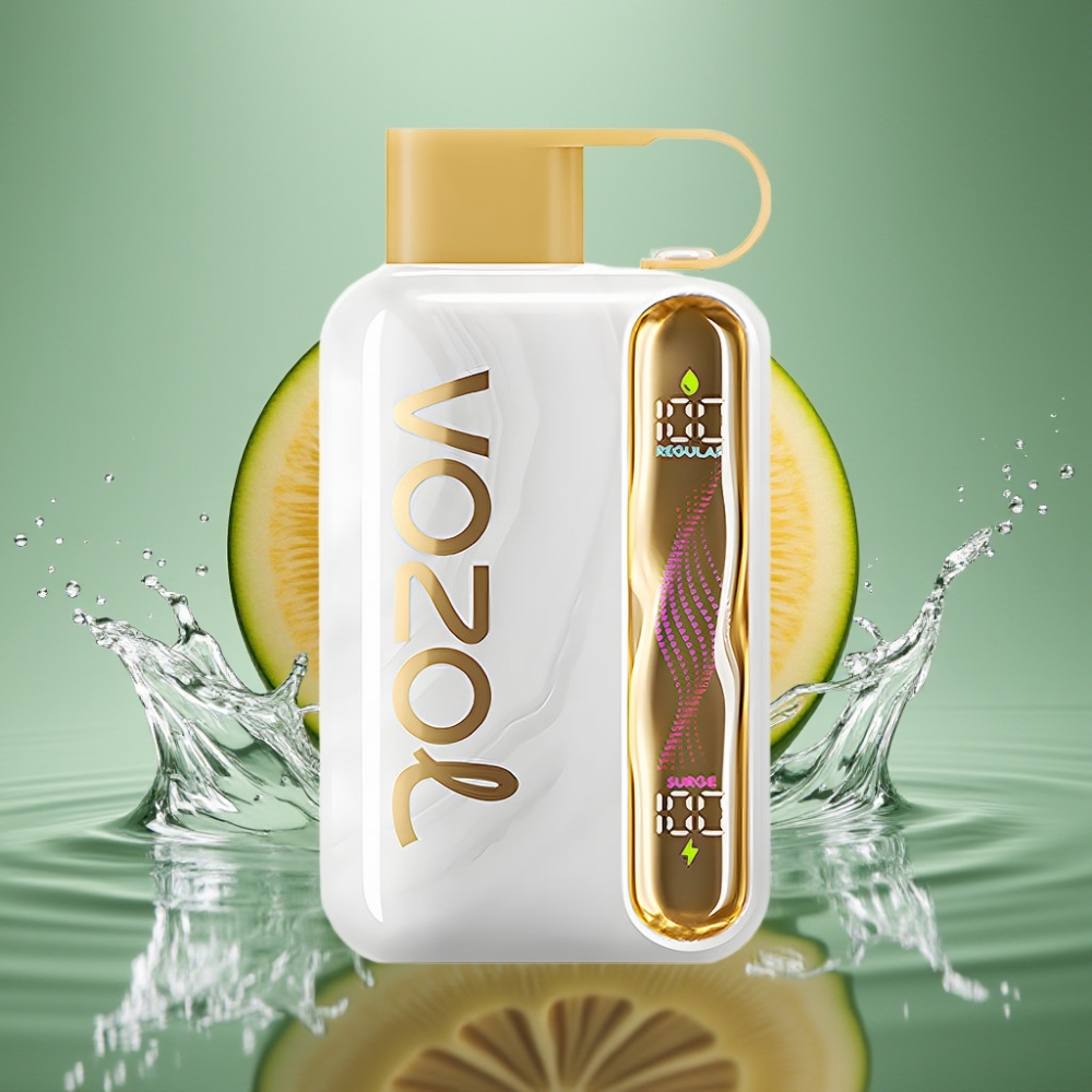 VOZOL STAR 40000 Type-C 1000mAh Disposable Vape