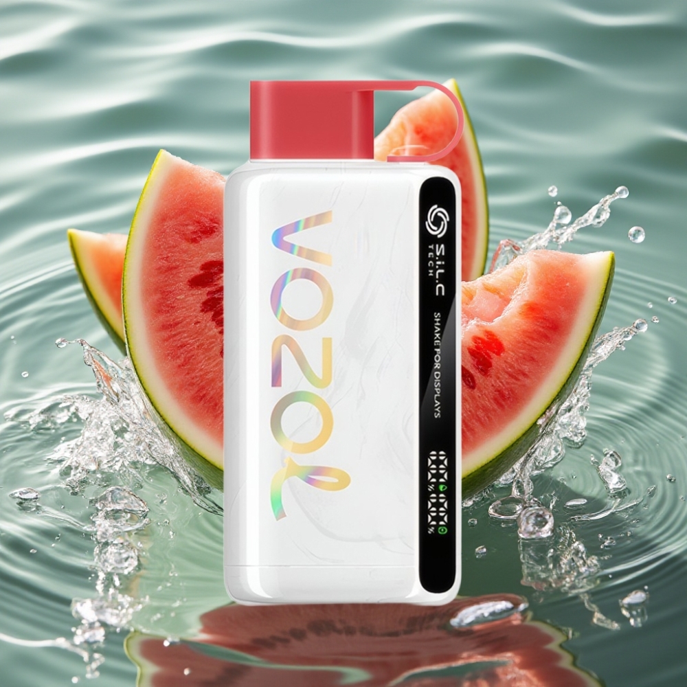 VOZOL STAR 9000/12000 Disposable Vape with 30% Faster Charge & 650mAh Battery Capacity