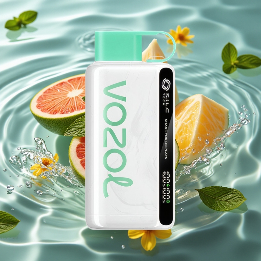 VOZOL STAR 9000/12000 Disposable Vape with 30% Faster Charge & 650mAh Battery Cool Mint