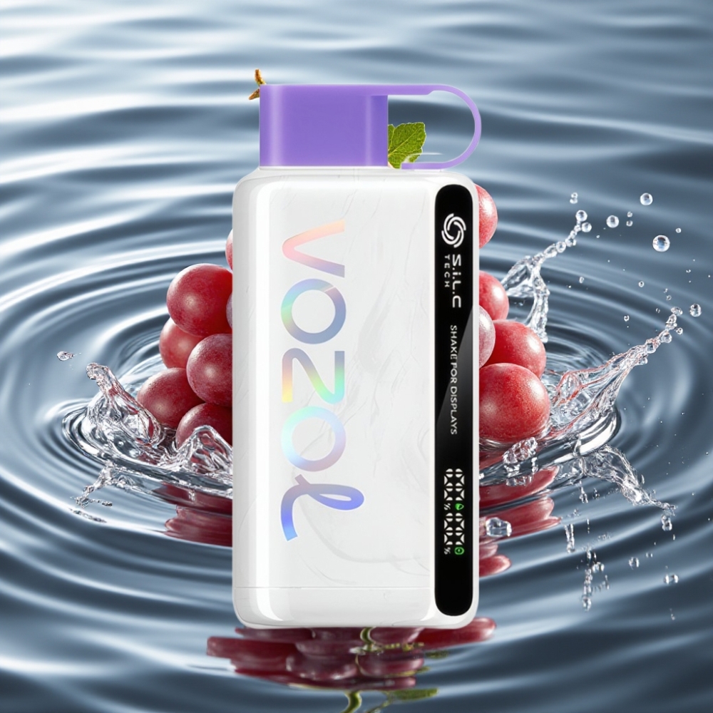 VOZOL STAR 9000/12000 Disposable Vape with 30% Faster Charge & 650mAh Battery Grape Ice