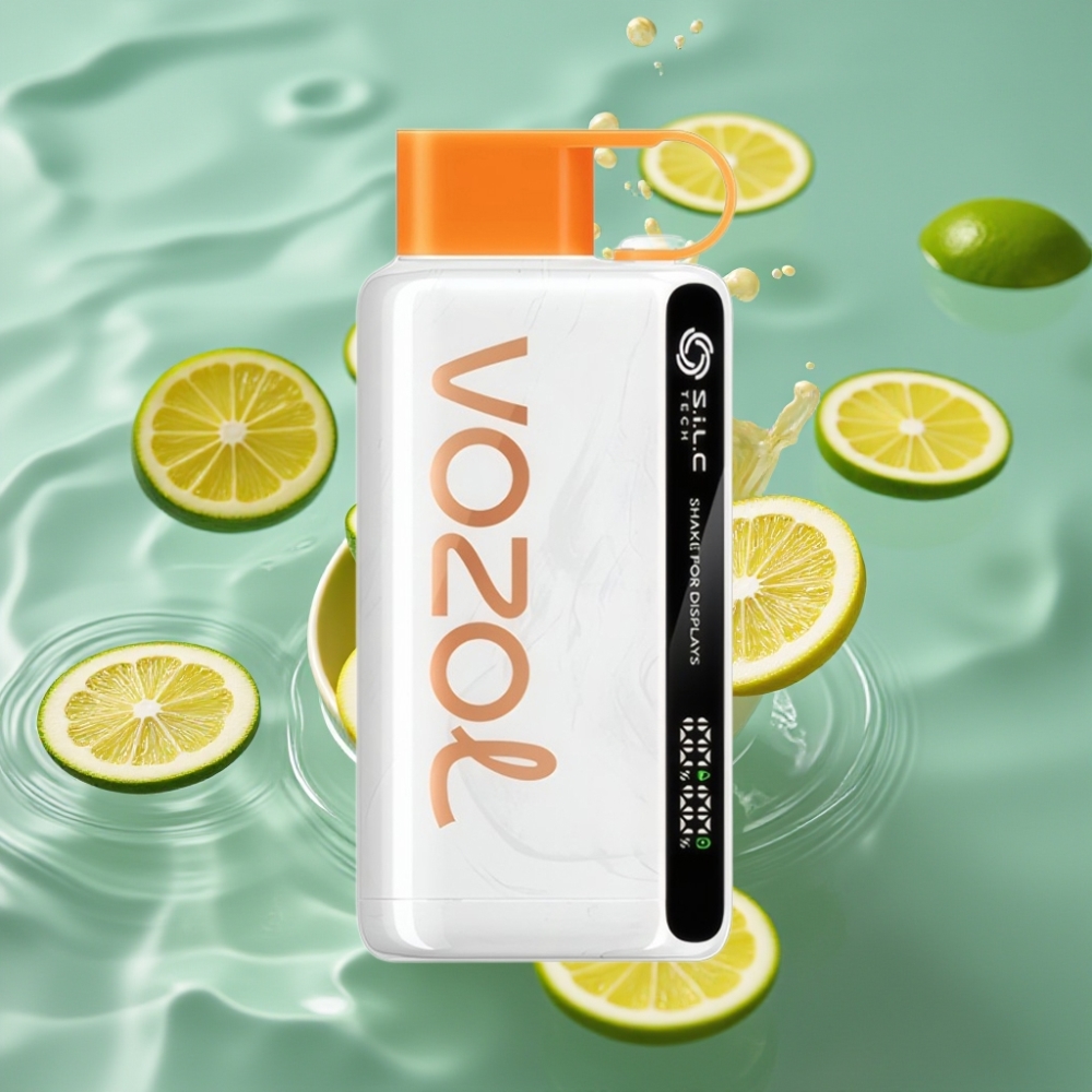 VOZOL STAR 9000/12000 Disposable Vape with 30% Faster Charge & 650mAh Battery Lemon Lime