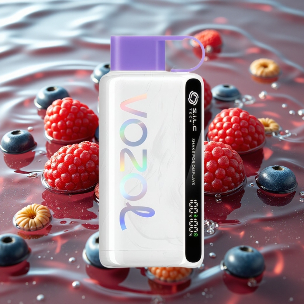 VOZOL STAR 9000/12000 Disposable Vape with 30% Faster Charge & 650mAh Battery Mixed Berries