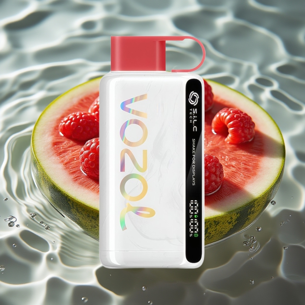 VOZOL STAR 9000/12000 Disposable Vape with 30% Faster Charge & 650mAh Battery Raspberry Watermelon