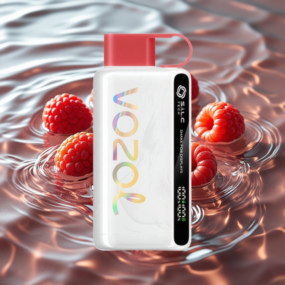 VOZOL STAR 9000/12000 Disposable Vape with 30% Faster Charge & 650mAh Battery Strawberry Raspberry Cherry