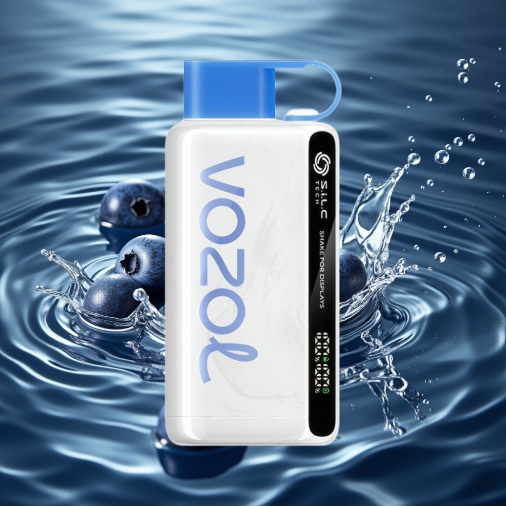 VOZOL STAR 9000/12000 Disposable Vape with S.i.L.C TECH & 30% Faster Charge Blueberry Storm