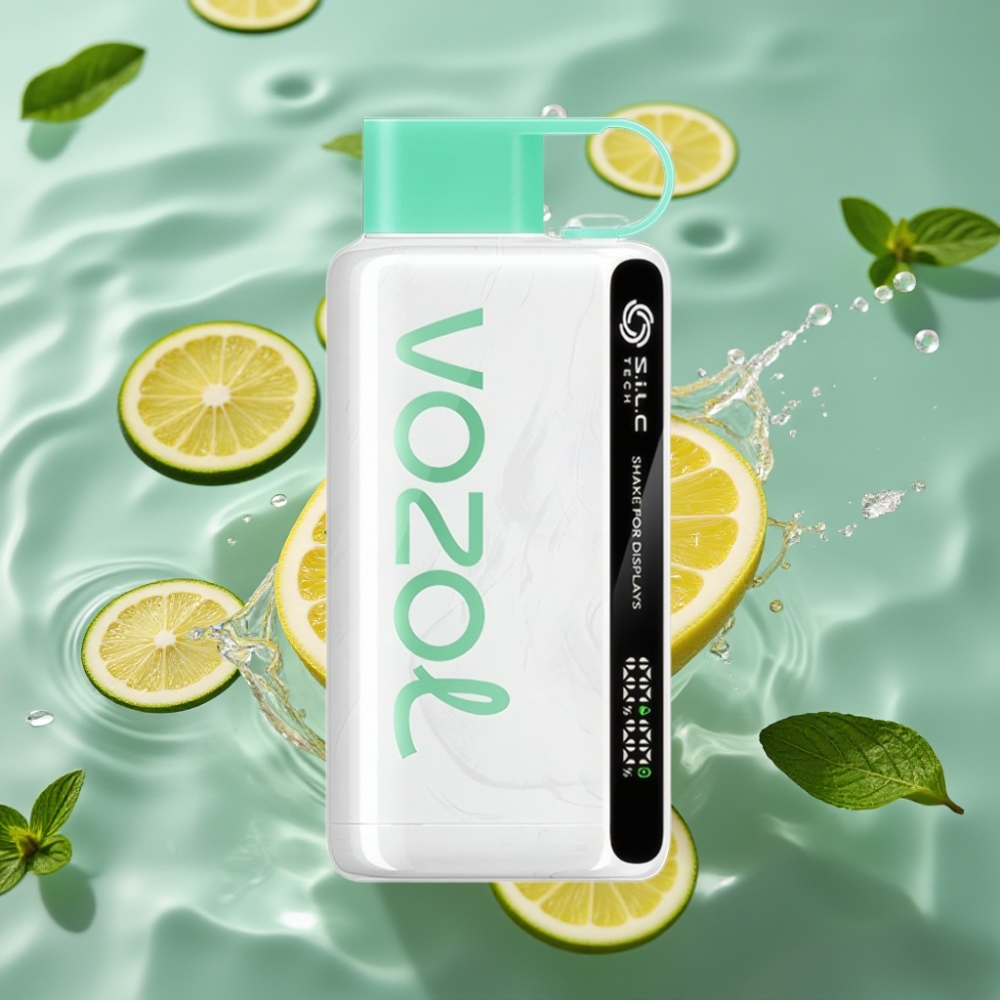 VOZOL STAR Recycled 9000/12000 Disposable Vape with 30% Faster Charge