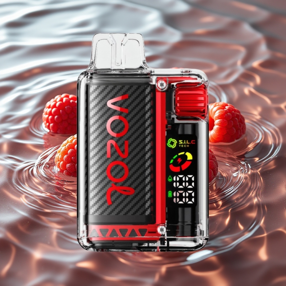 VOZOL Vista 20000 Puffs Recyclable MTL Kit with OLED Screen