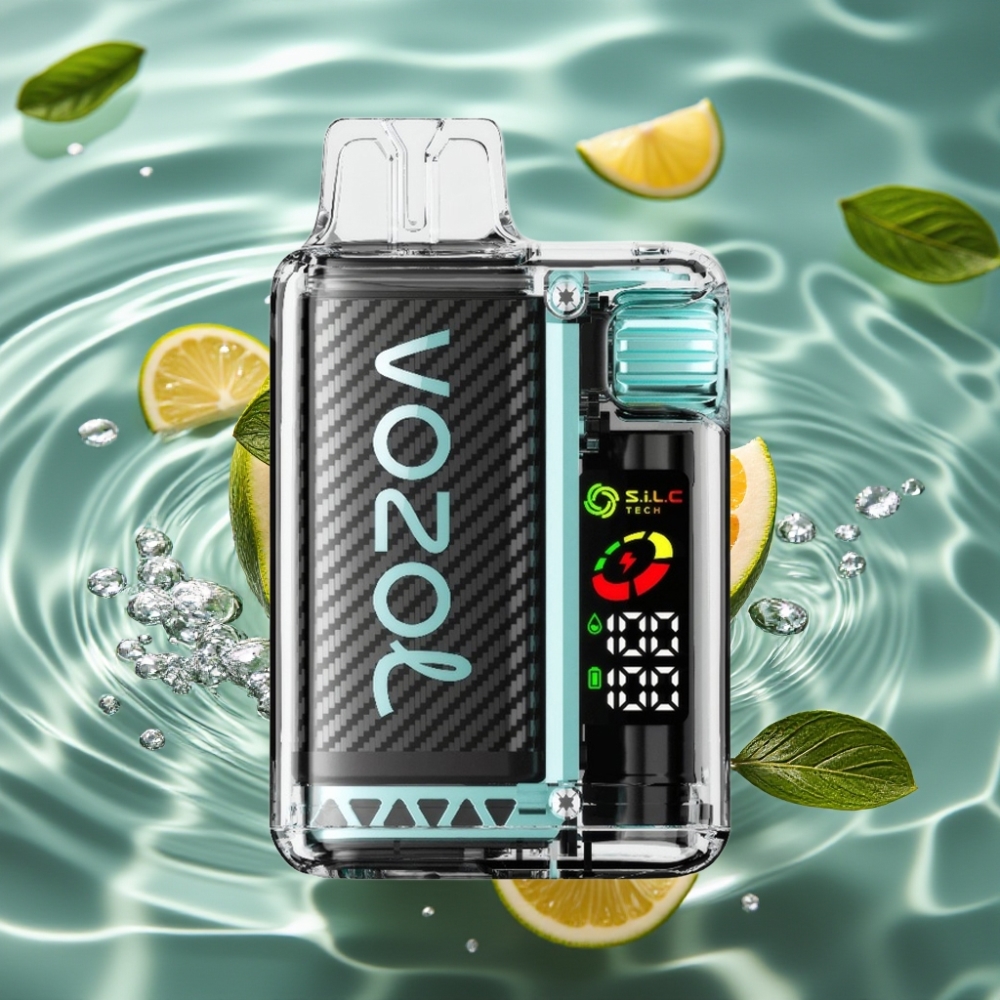VOZOL Vista 20,000 Puffs MTL Vaping with OLED Screen & 6-Level Watt Adjustment Miami Mint